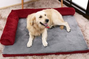 Las 9 mejores camas para perros grandes