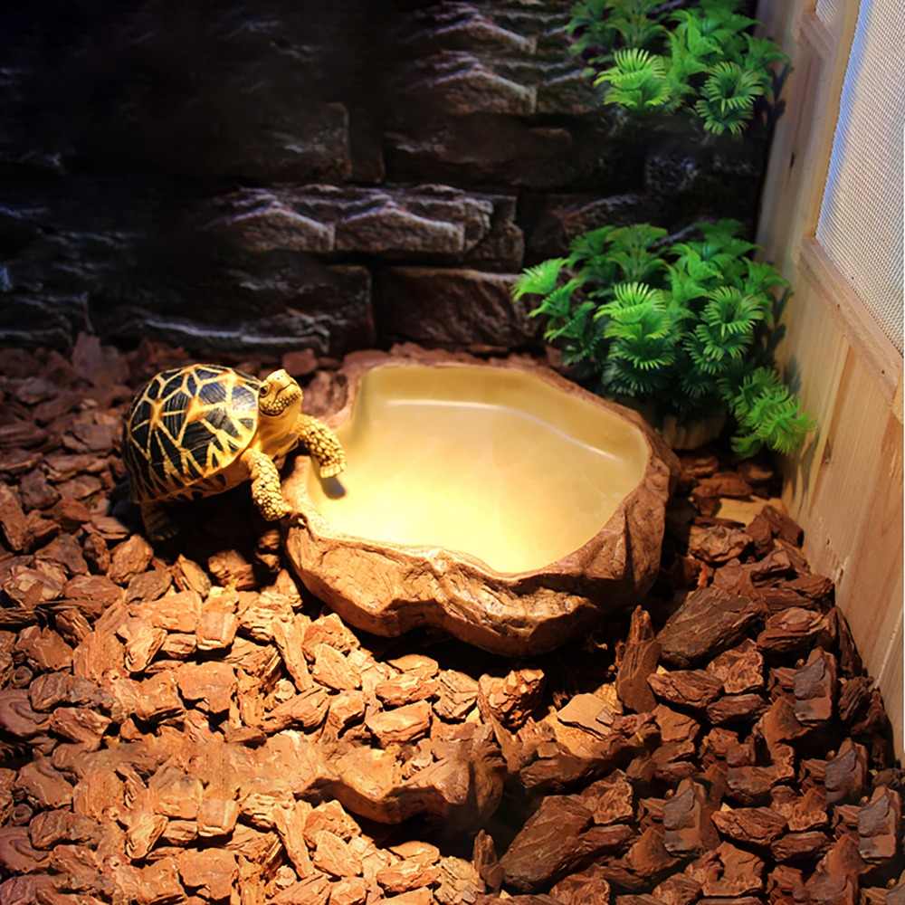 Reptiles Planet Eco Kit terrarios con Bandeja Abierto para Tortuga terrestre 60 x 40 x 28 cm 